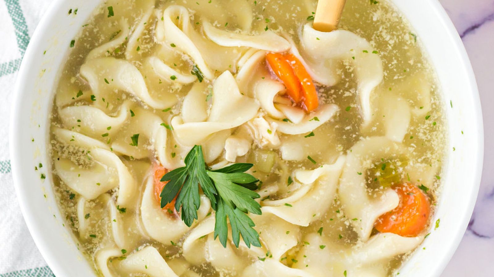 Instant Pot Chicken Noodle Soup
